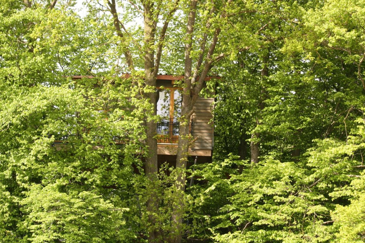 Fischach Baumhaus Auf Dem Kellerbergヴィラ エクステリア 写真